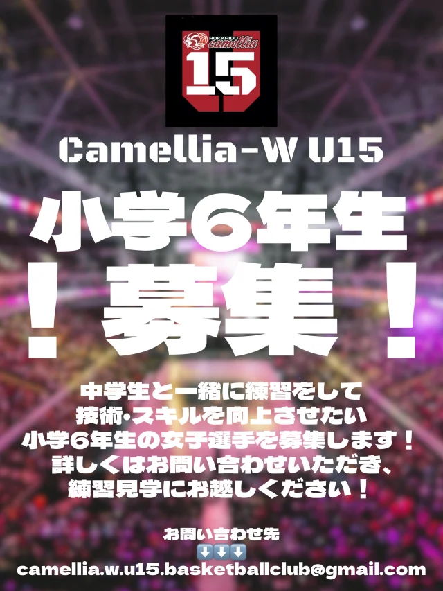 Camellia-WU15では、ミニバスの練習にプラスして技術・スキルアップを目指す選手を募集します！
募集対象は小学6年生女子の選手です。
まずはお問い合わせいただき、練習見学にお越しください！
沢山のご応募お待ちしております。

お問い合わせ先
↓↓↓↓↓
camellia.w.u15.basketballclub@gmail.com